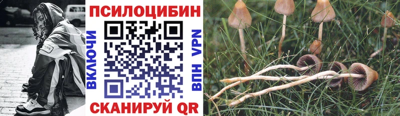 Псилоцибиновые грибы Psilocybine cubensis  Кологрив 